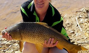 Varswater Hengeldame